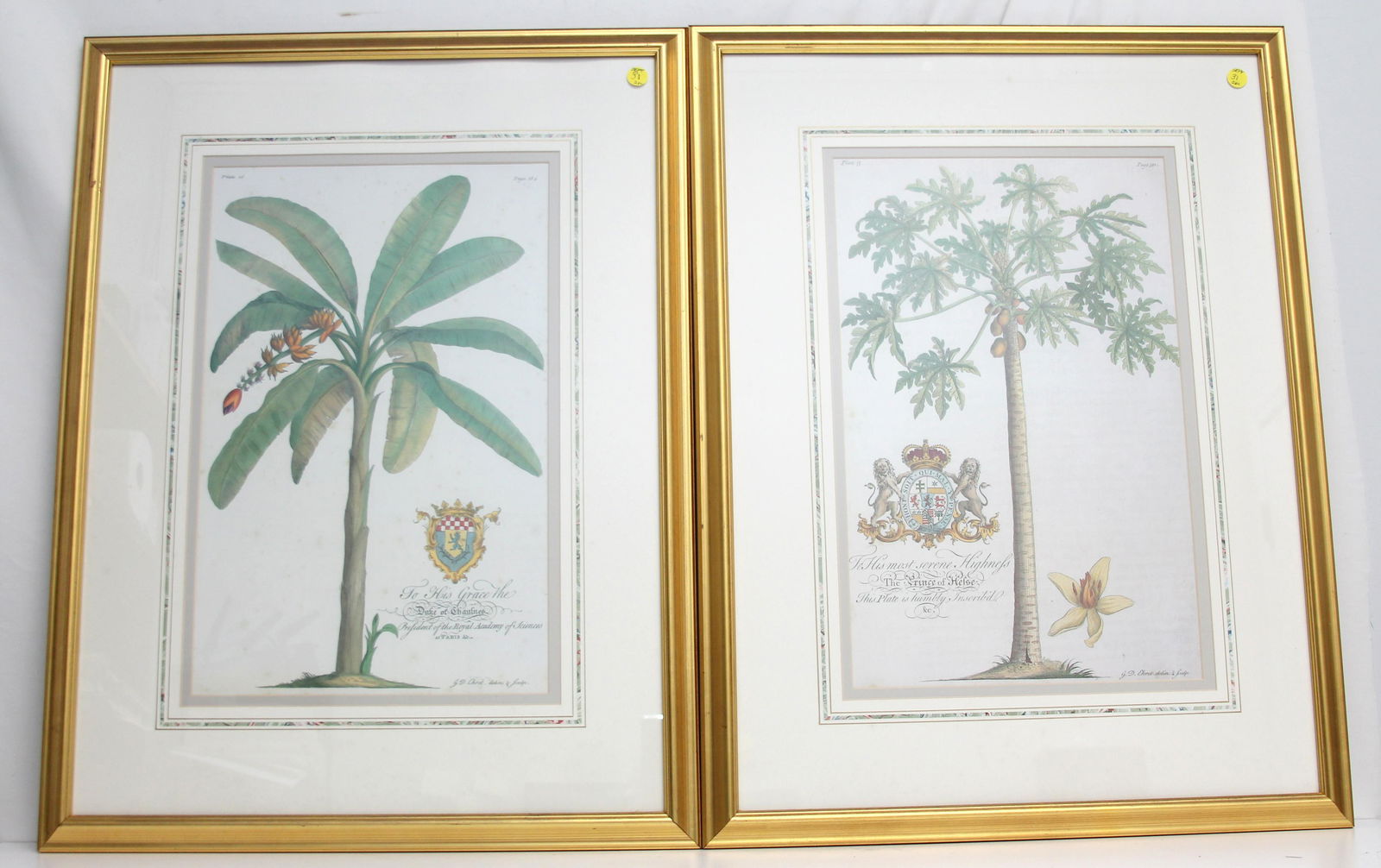 PAIR TROPICAL PALM TREE PRINTS (1 of 6)