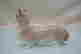 item-135862799=3
