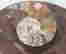 item-135862807=2