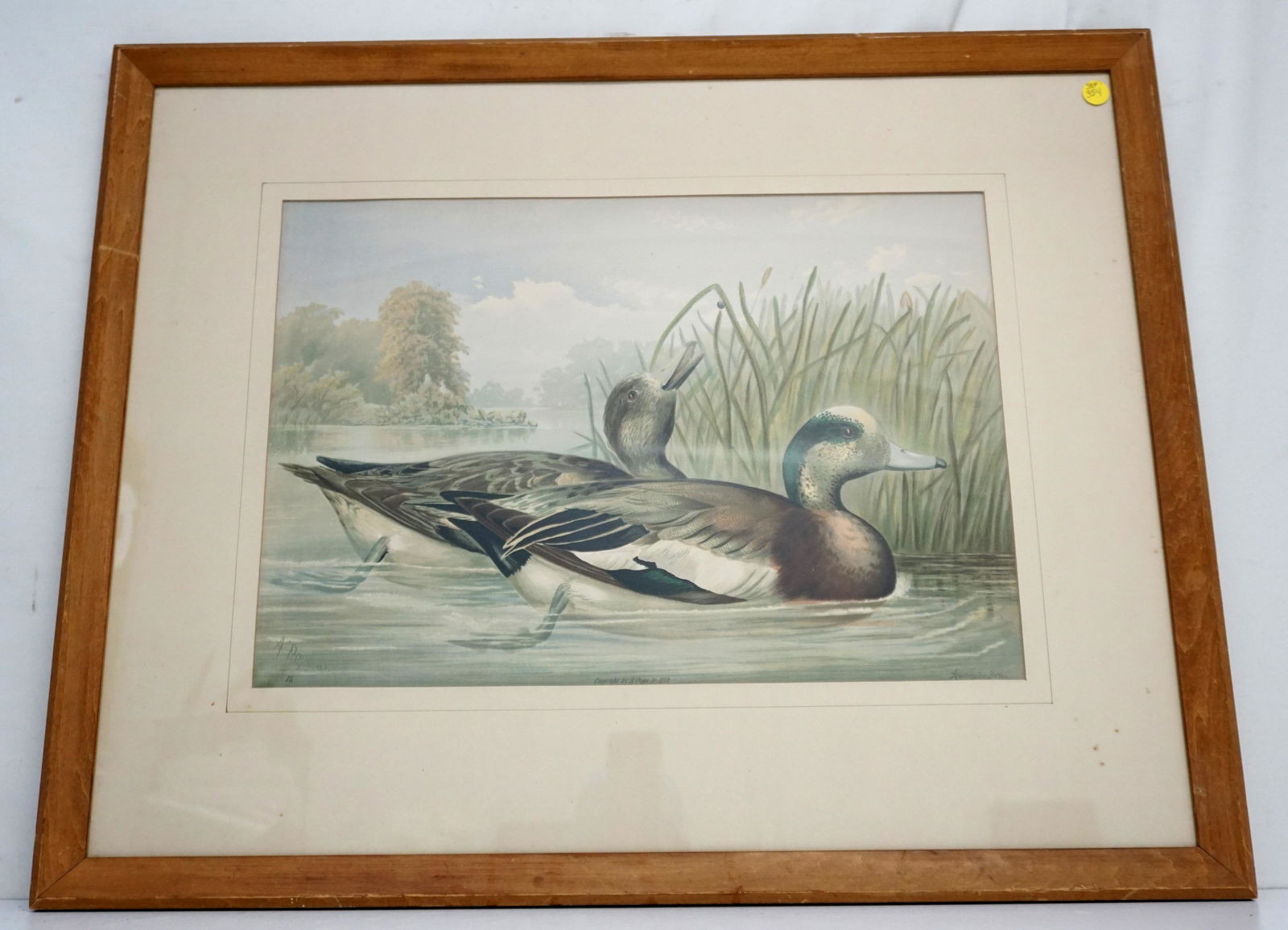 ALEXANDER POPE JR WIDGEON CHROMOLITHOGRAPH (1 of 6)