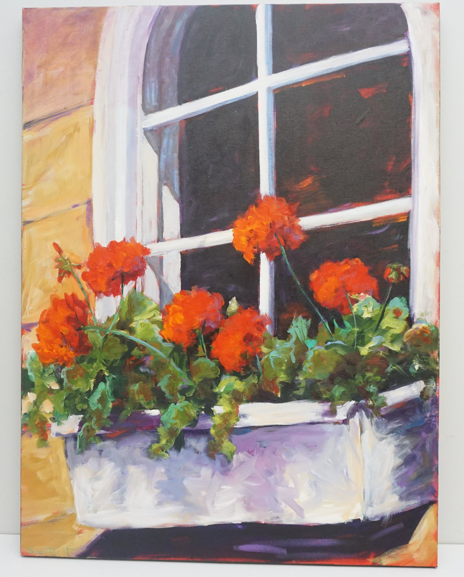SUSAN HECHT WINDOW BOX GERANIUMS (1 of 8)