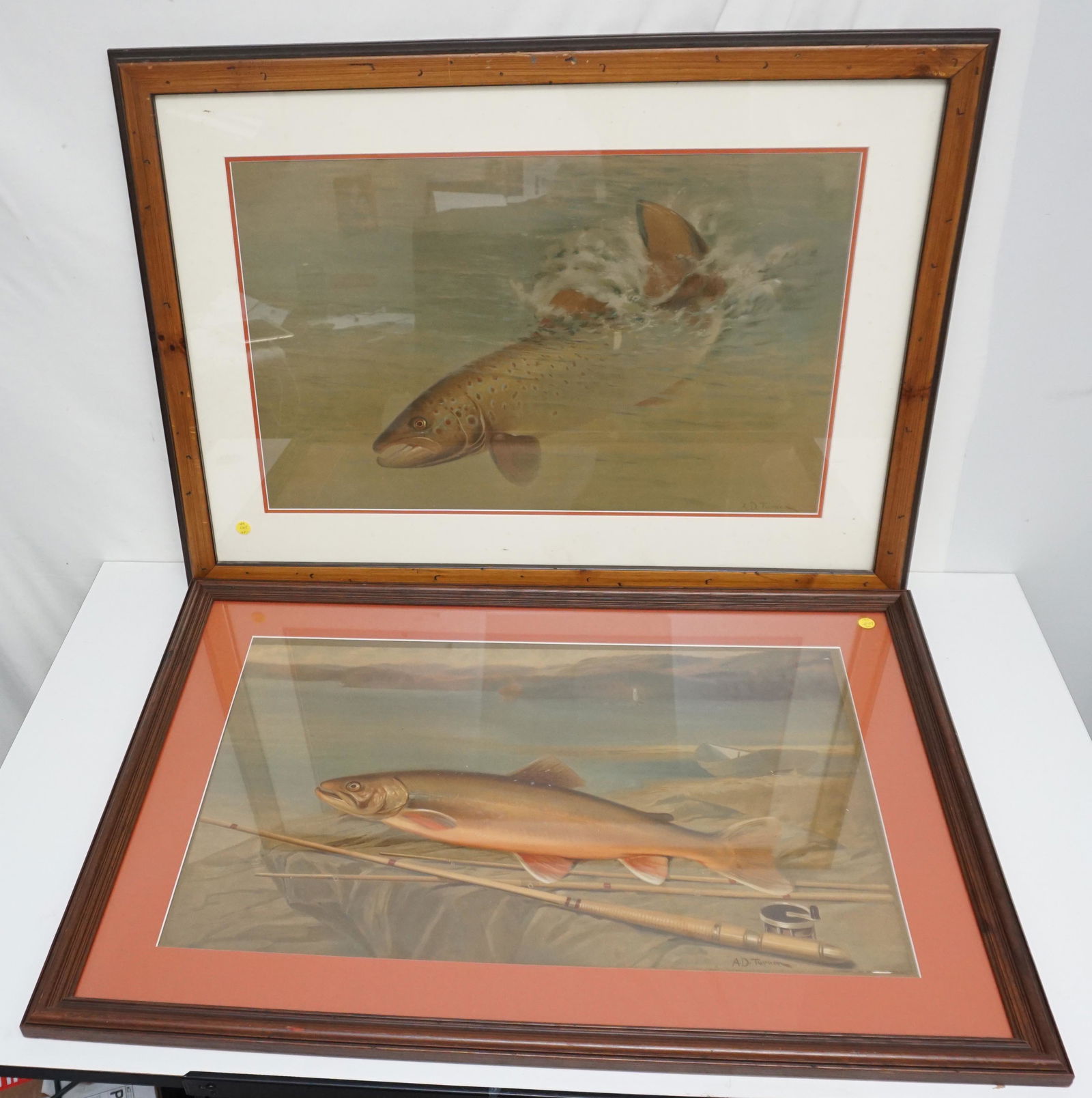 2 ANTIQUE A.D. TURNER FISH CHROMOLITHOGRAPHS (1 of 7)