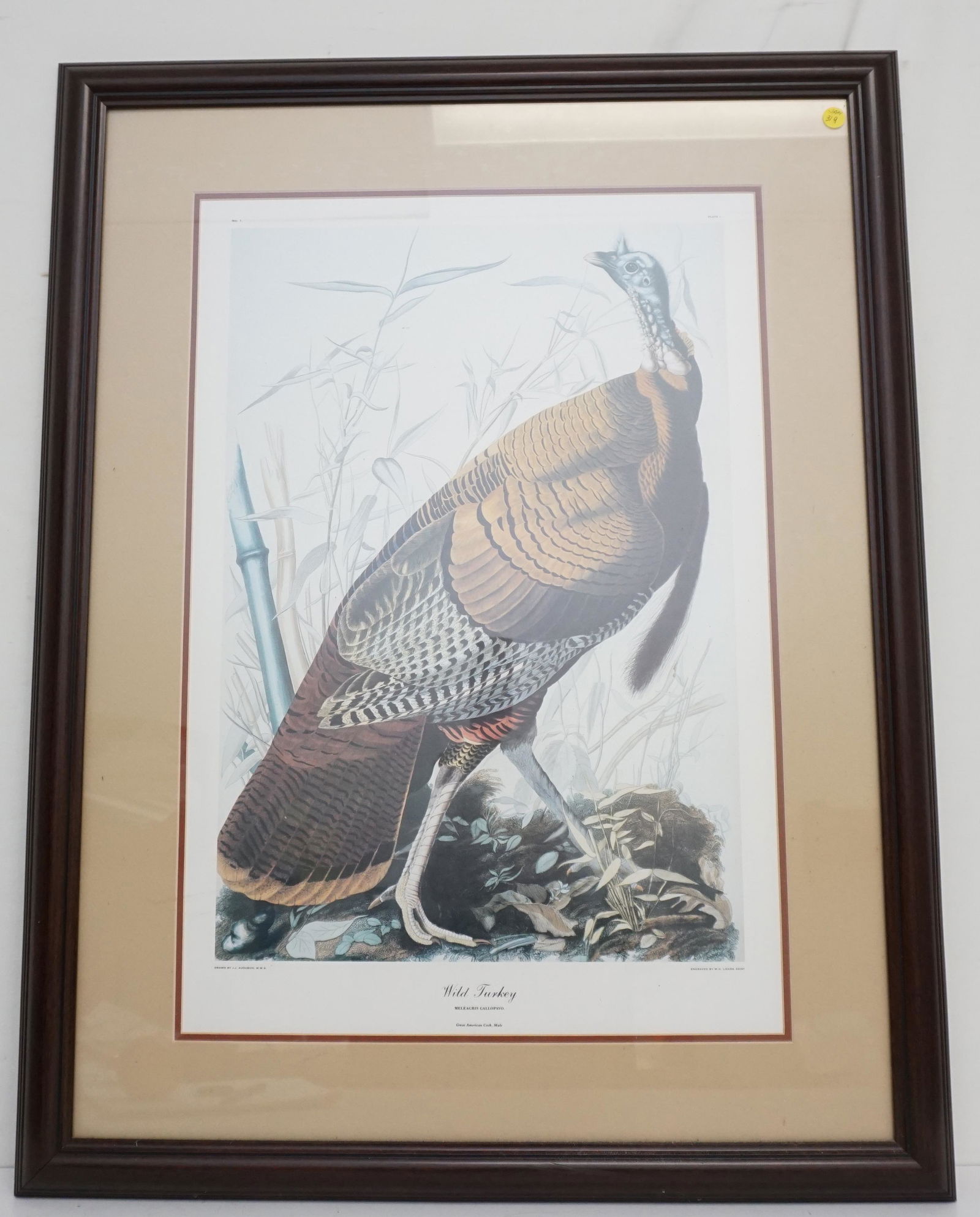 WILD TURKEY AUDUBON REPRINT (1 of 6)