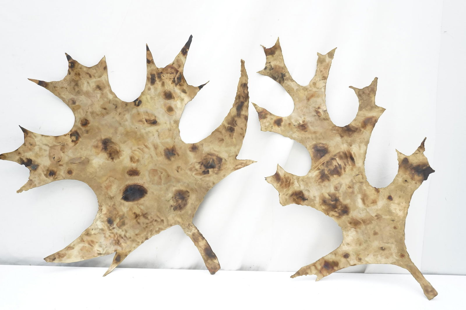 PAIR BRUTILIST MCM LEAF WALL ART (1 of 6)