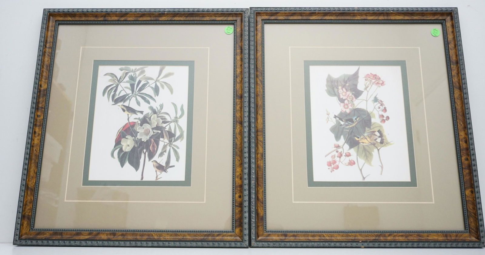 PAIR FRAMED BIRD PRINTS (1 of 6)