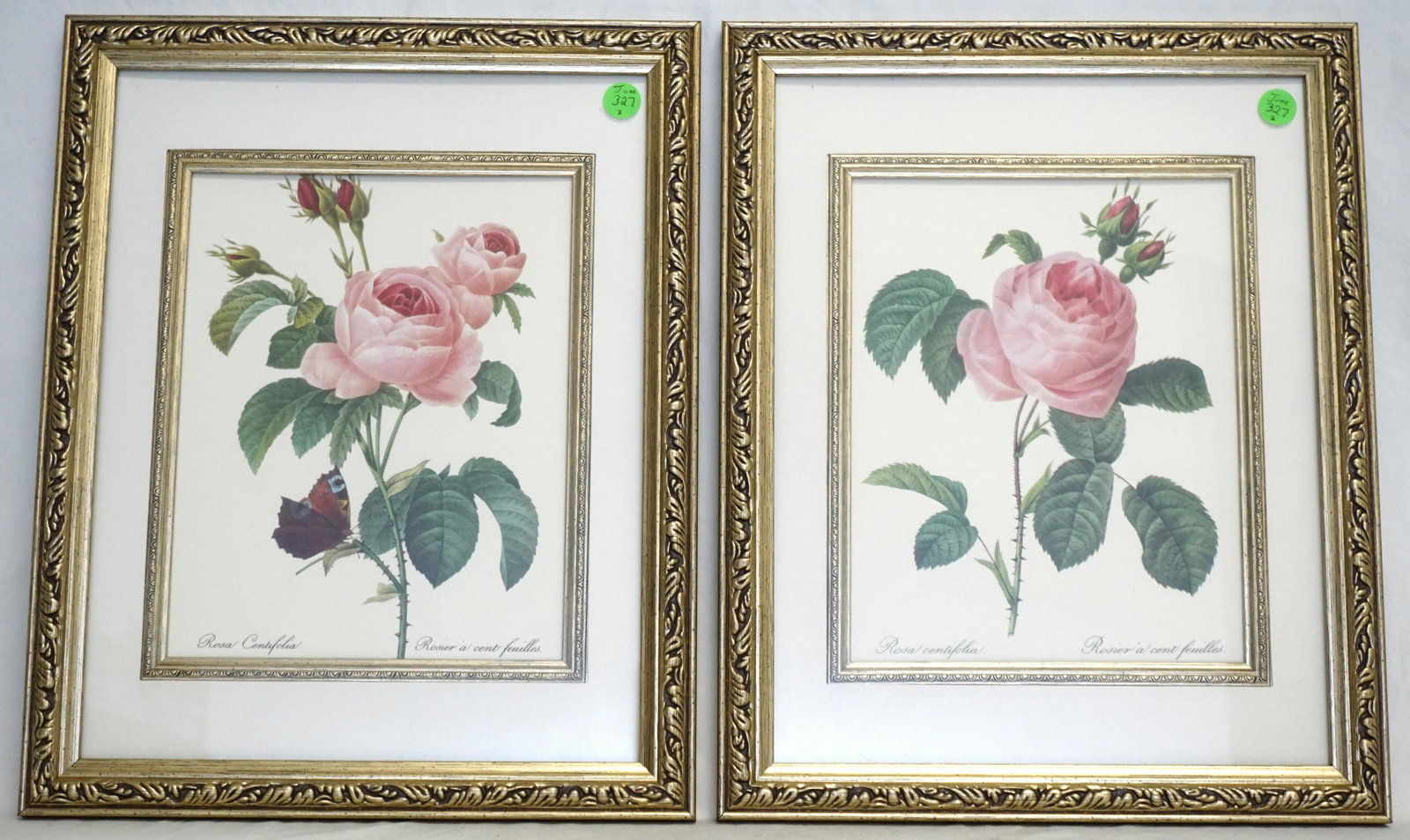 2 FRAMED ROSES BOTANICAL PRINTS (1 of 8)