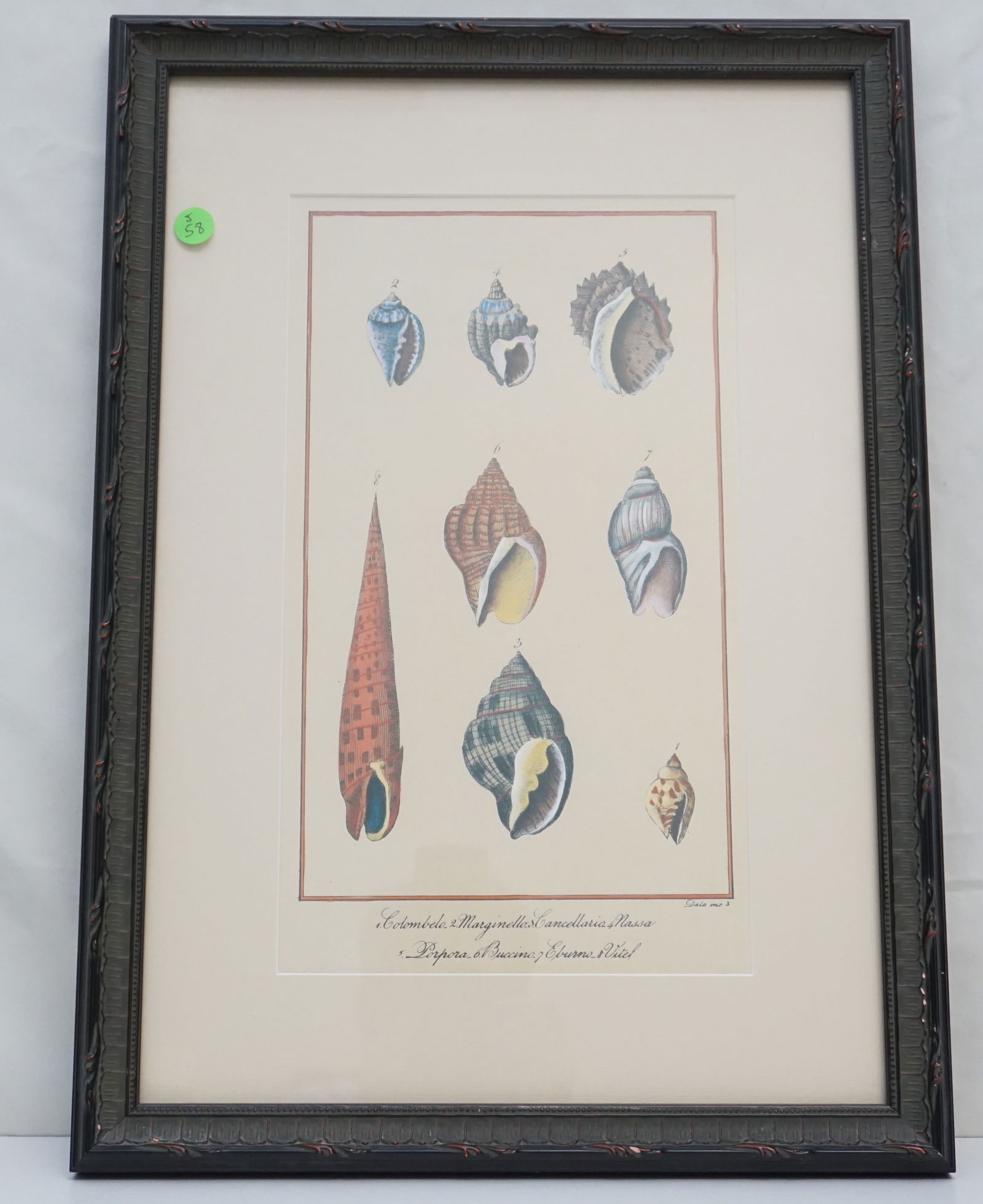 FULL-COLOR SHELL FRAMED PRINT (1 of 5)