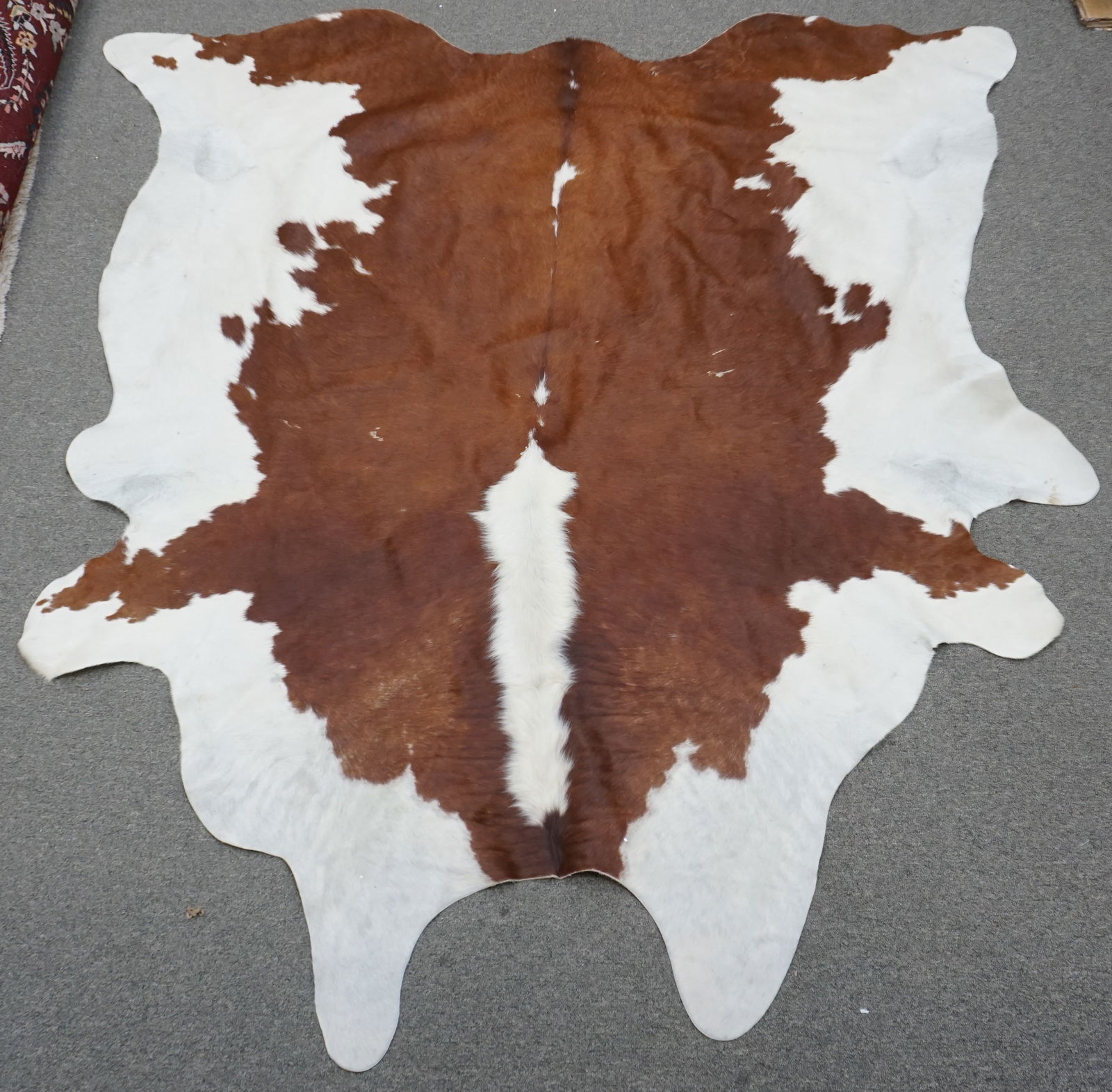 FABULOUS WHITE & BROWN SKIN RUG (1 of 12)