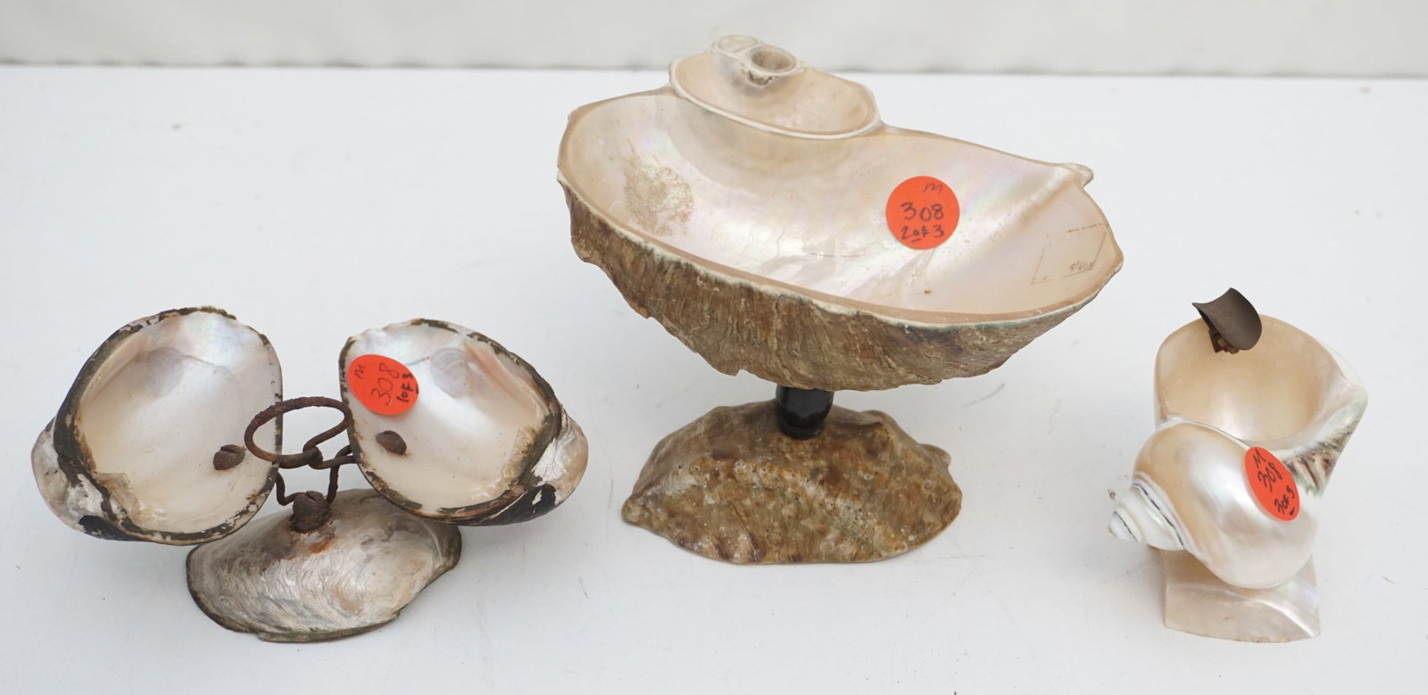 TRIO OF ANTIQUE SHELL ASHTRAYS: Bring coastal charm to your space with this delightful set of three seashell ashtrays, each a testament to nature's beauty. The smallest, a charming snail shell, measures 2" across, 3" long, and 3" ta
