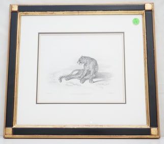 LEOPARD AFTER REYDINGER ENGRAVING