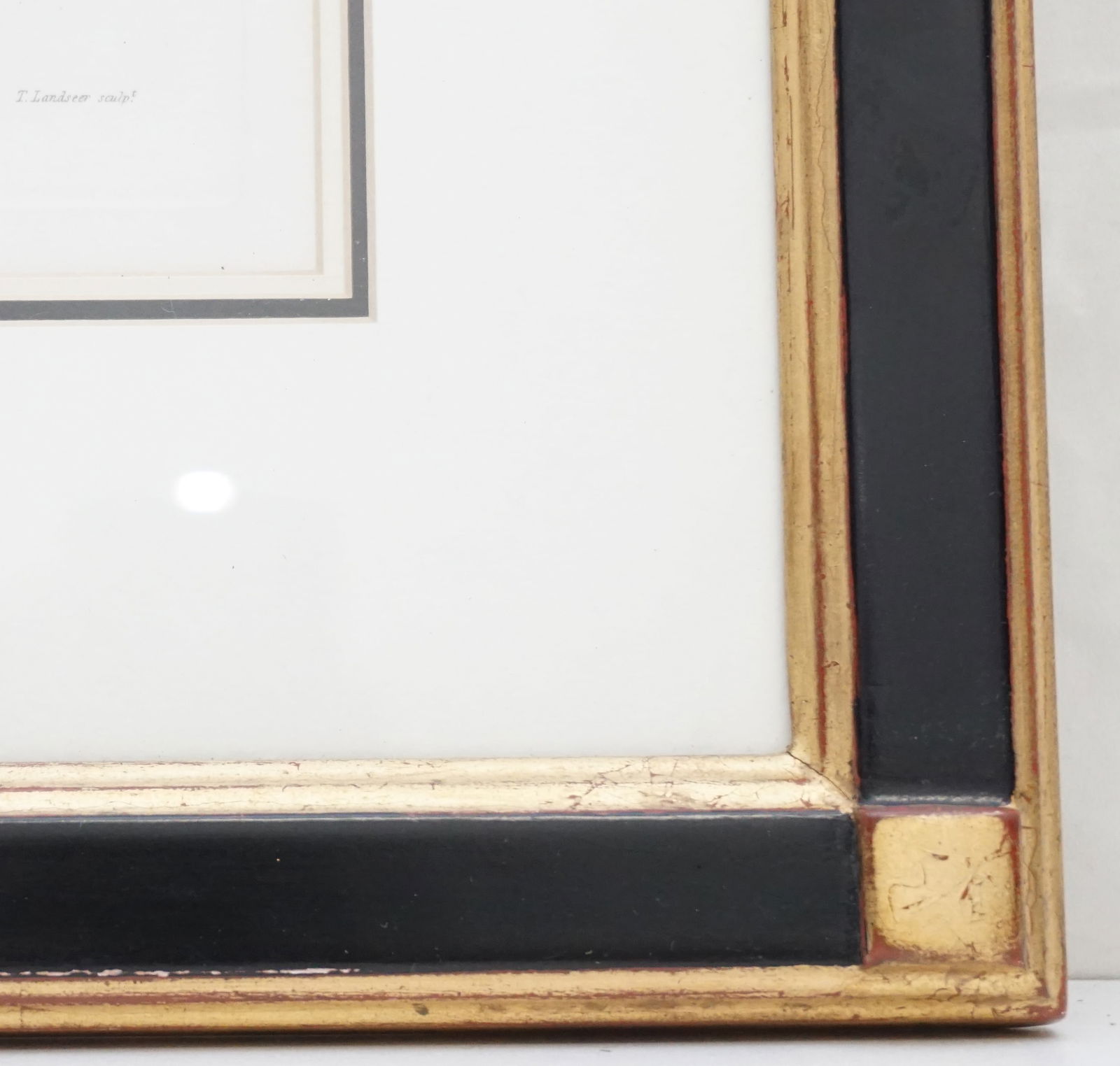 LEOPARD AFTER REYDINGER ENGRAVING - 4