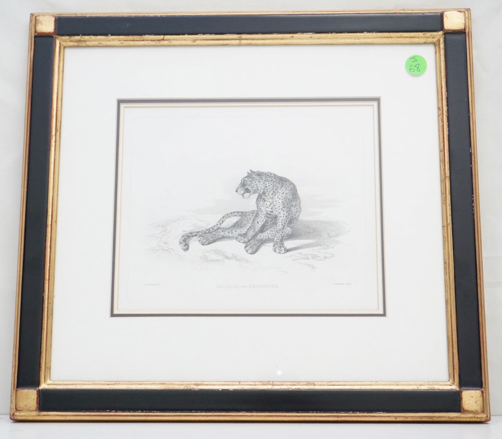 LEOPARD AFTER REYDINGER ENGRAVING (1 of 6)