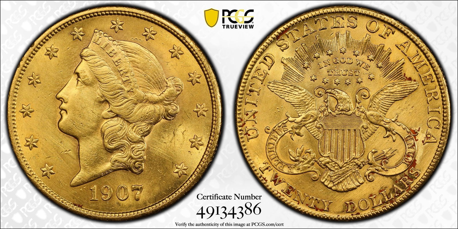 1907 Liberty Head $20 Gold Double Eagle (1 of 1)