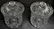 PAIR GORHAM CRYSTAL KING EDWARD BISCUIT BARRELS - 3