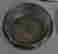 item-44546041=3