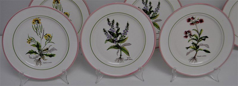 6 PRIMULA ITALY BOTANICAL LUNCHEON PLATES (1 of 6)
