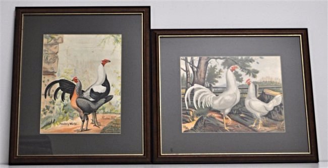 2 19th c. POULTRY WORLD COLOR LITHOGRAPHS CHICKENS (1 of 6)