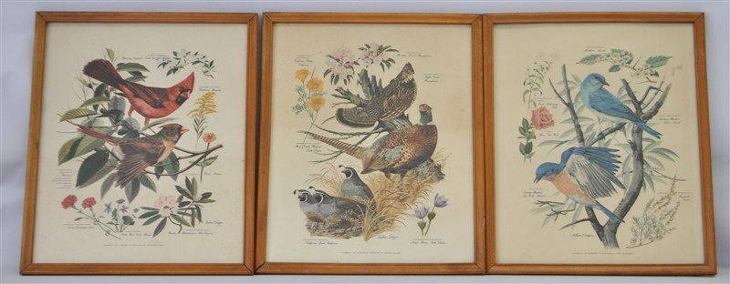 3 ARTHUR SINGER BIRD LITHOGRAPHS. (1 of 6)