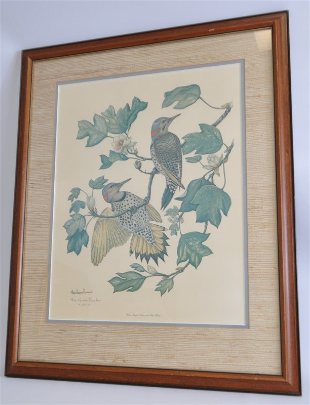 FLICKER W TULIP POPLAR ANNE WORSHAM RICHARDSON (1 of 9)