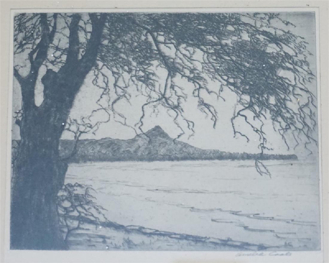 AMELIA R. COATS ETCHING MOUNTAINS HAWAII (1 of 5)