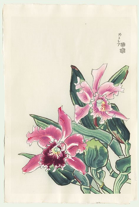 Original Eiichi Kotozuka (1906 - 1979) Japanese: Orchids (Right) Striking modern design of bright mauve and red violet orchids, the petals beautifully shaded. Drawn with loose, gestural line work, adding a sense of liveliness to the composition. An 
