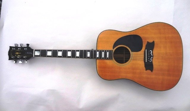 Gibson Heritage Guitar (1 of 8)