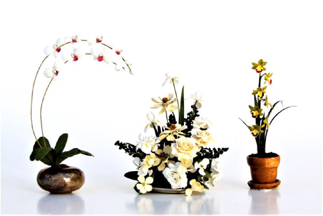 Arlene Finkelstein Orchids & Other Miniatures (1 of 1)