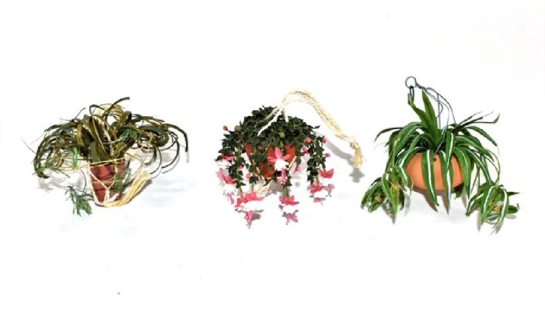 Three Artisan Dollhouse Hanging Plants Miniatures (1 of 1)