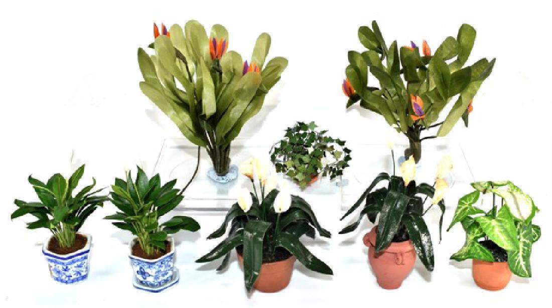 Dollhouse Plants & Bushes Miniatures (1 of 1)