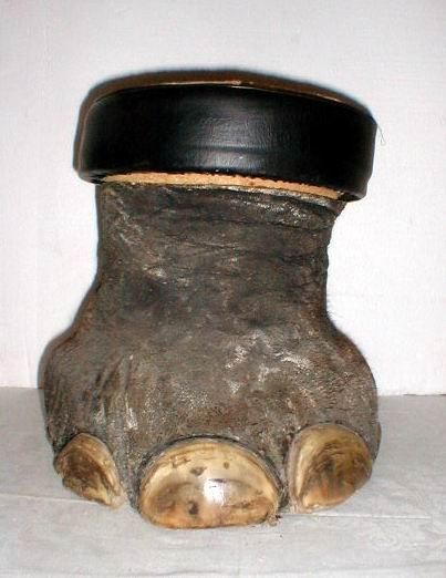 Elephant Foot Table with removable top