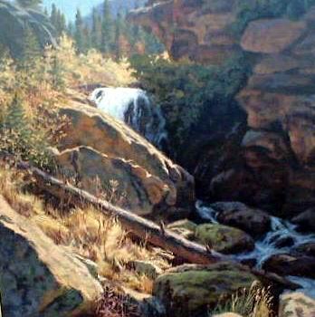 Wes Newton (American 20th century)