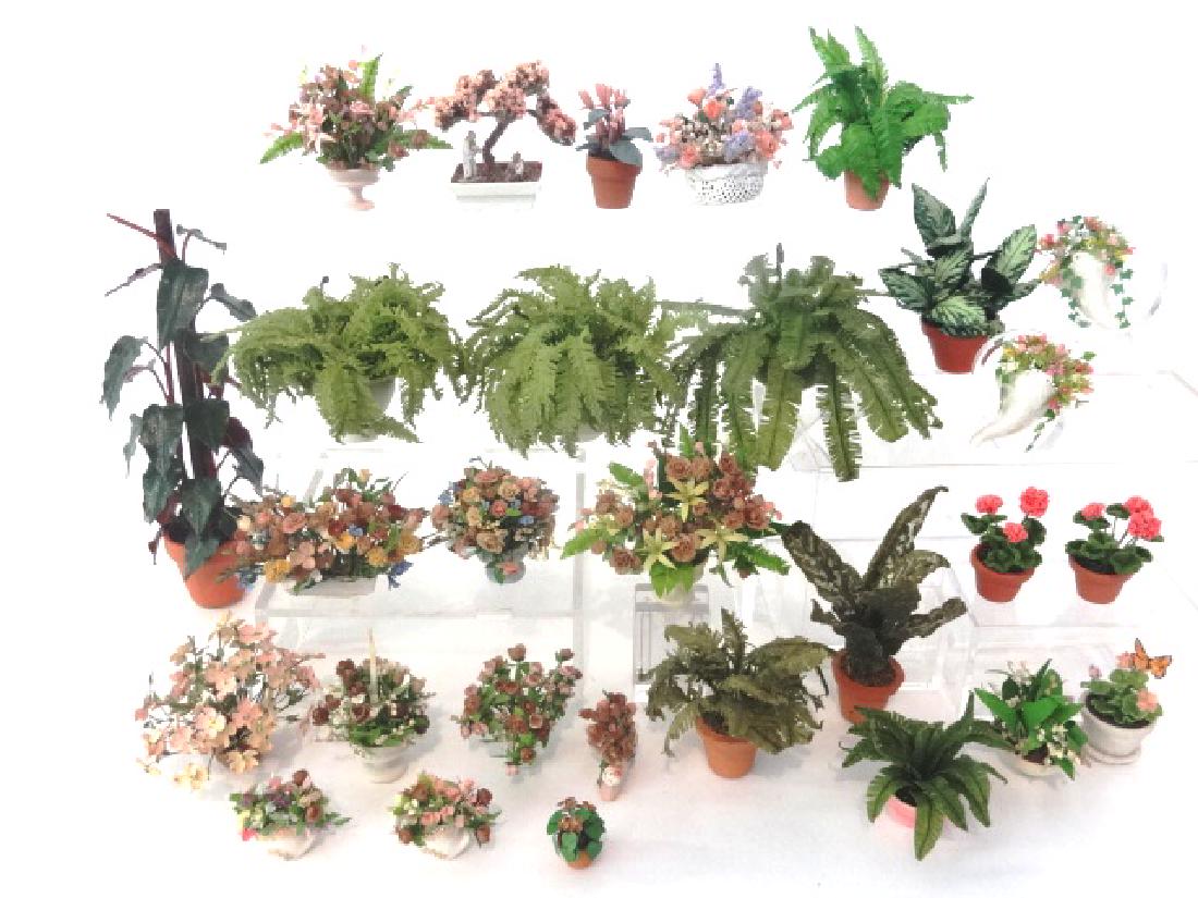 Dollhouse Plants & Ferns Miniatures (1 of 1)
