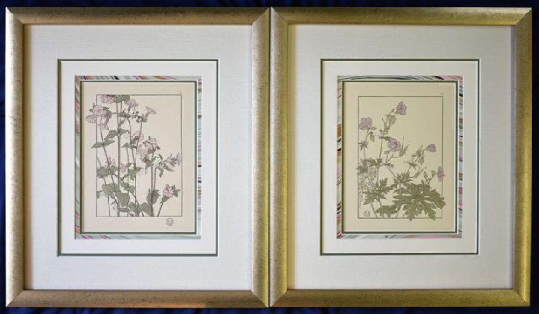 Jeannie Foord Art Nouveau Botanical Chromolithographs (1 of 2)