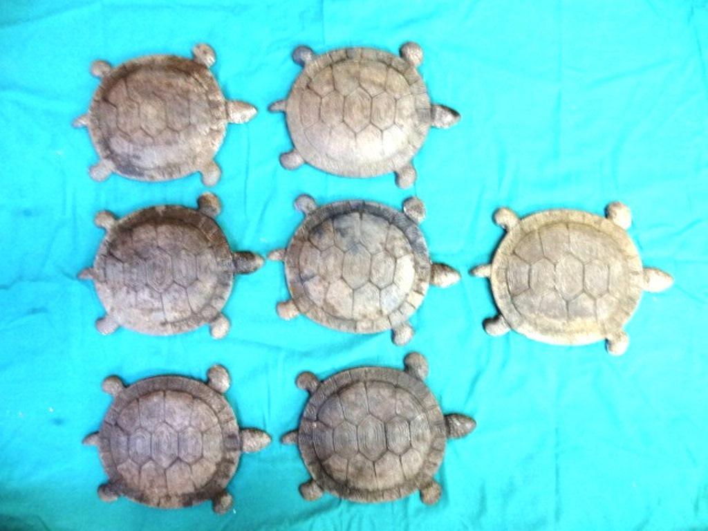 Seven Cast Iron Turtle Stepping Stones: Group of seven matching cast iron turtle stepping stones, 14.5"L, 11"W