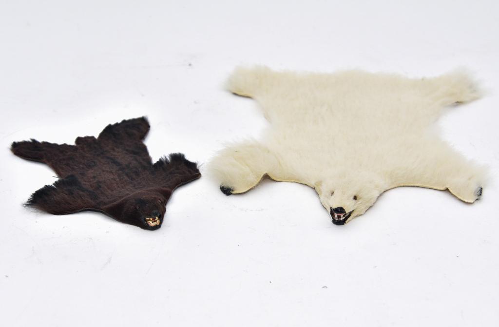 Two Bear Skin Rugs Dollhouse Miniatures: Two miniature rugs made with real fur, polar bear 9" by 8", black bear 4.5" by 6"