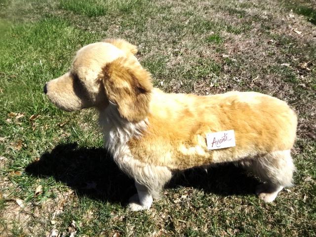 Avanti Golden Retriever Life Size (1 of 2)
