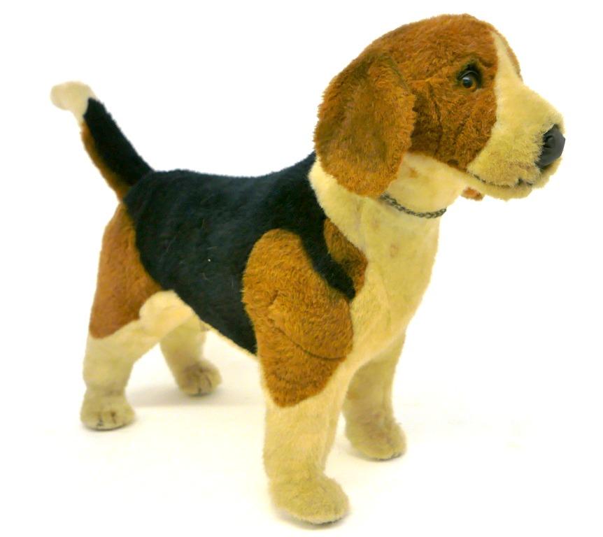 Avarti Beagle Dog (1 of 2)