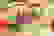 item-105455411=4