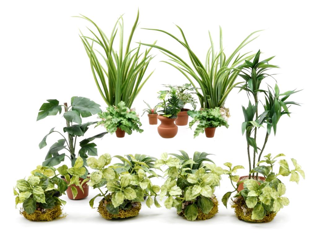 Dollhouse Ferns & Grasses Dollhouse Miniatures (1 of 1)