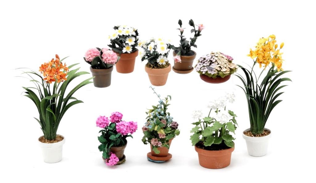 Ten Dollhouse Plants In Clay Pots (1 of 1)