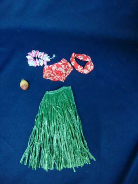 #1605 Barbie in Hawaii: Missing Flyer and Anklet