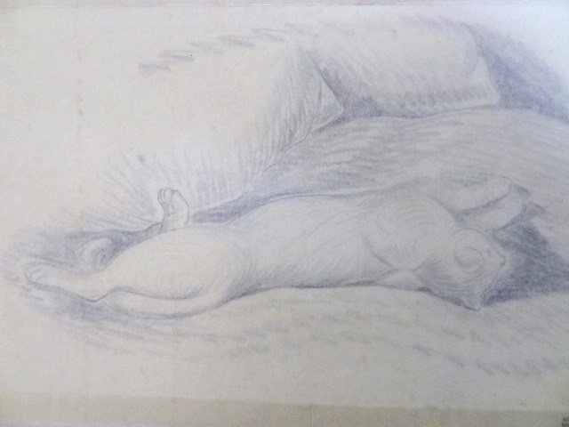 Wanda Gag Pencil Sketch: Wanda Hazel Gag (1893-1946) Cat Sketch, pencil on paper, 6 ½ x 9 ¾ stamped lower right Drawing by Wanda Gag