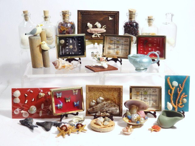 Miniature Seashell/Rock Collection: Grouping of miniature seashell & rock collection
