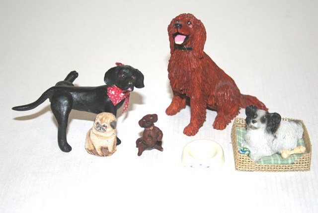 Gail Morey Canines (1 of 1)