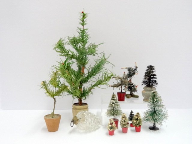 Feather Trees and Bottle Washer Trees (1 of 1)