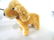 Group of Two Small French Dolls and Dog - 4