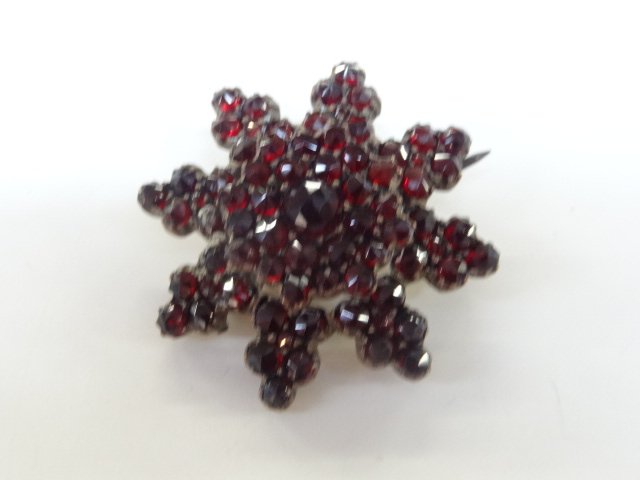 Antique Garnet Pin (1 of 1)