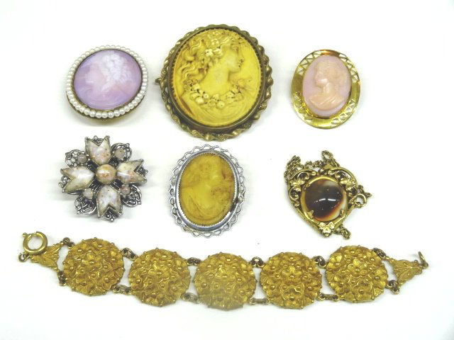 Costume Cameos (1 of 1)