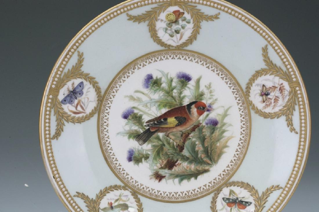 Royal Worcester Plate (1 of 2)