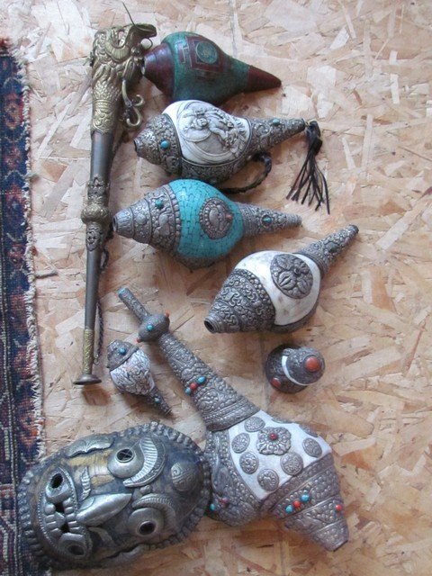Group Buddhist Conch Shells: Group Buddhist Conch Shells